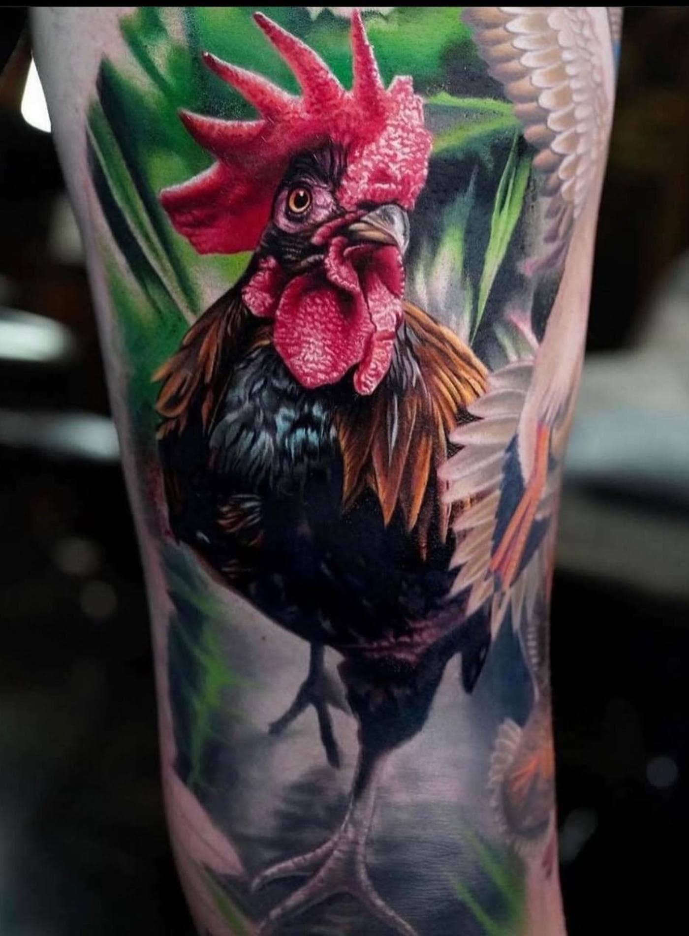 Colorful realistic rooster tattoo on the calf.